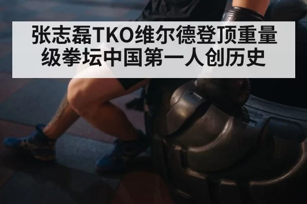 张志磊TKO维尔德登顶重量级拳坛中国第一人创历史