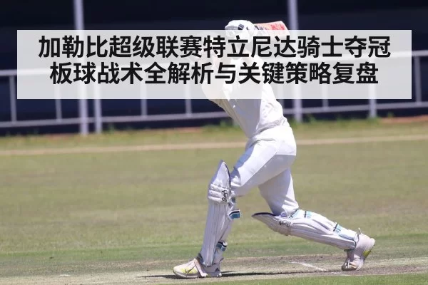 cricket batsman batting
